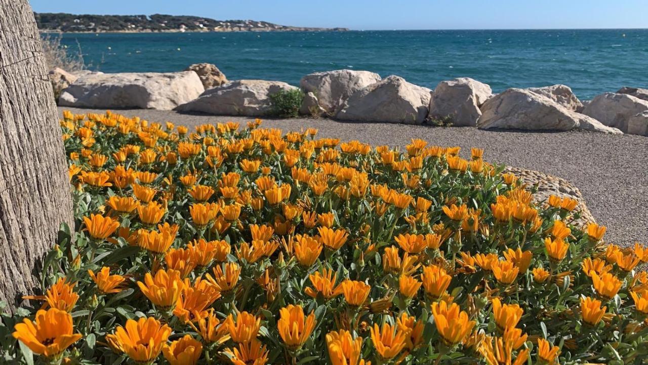 Les Appartements De La Marina Sanary-sur-Mer Bagian luar foto