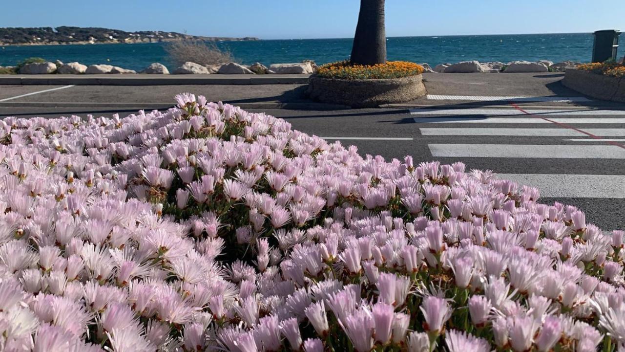 Les Appartements De La Marina Sanary-sur-Mer Bagian luar foto